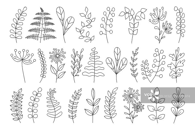 手绘花卉元素树枝图片素材