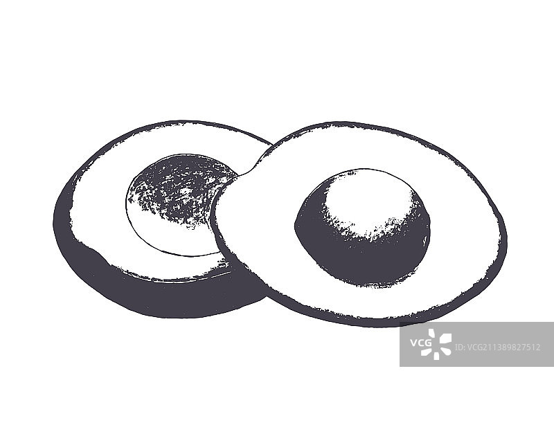 牛油果素描印章铅笔画图片素材