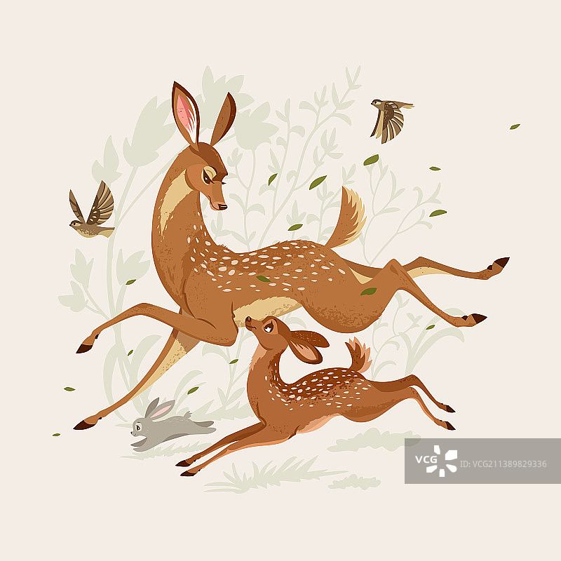 小鹿与鹿图片素材