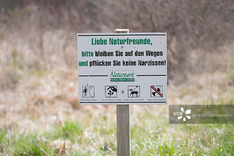 埃ifel国家公园的水仙花草地，附有行为准则标志，埃ifel国家公园，北莱茵-威斯特伐利亚州，德国，欧洲图片素材