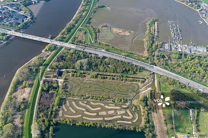 汉堡比尔韦德岛上为保护毒芹-水茴香的水面鸟瞰图，自然保护，植物，生物群落，木材港，比尔韦德，德国图片素材