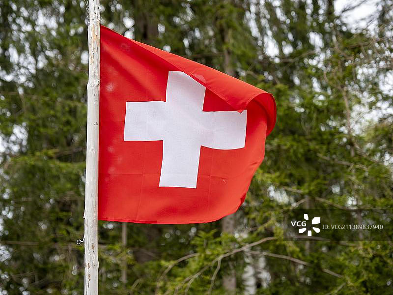 瑞士国旗在瑞士图尔高哈根威尔胡德尔莫斯自然保护区飘扬图片素材