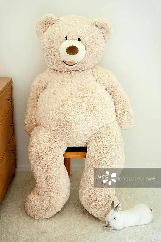 白色兔子躺在巨型毛绒熊旁边图片素材
