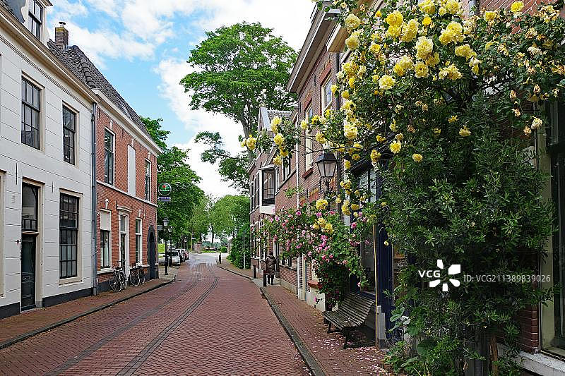荷兰海尔德兰省库伦博格玫瑰小街图片素材