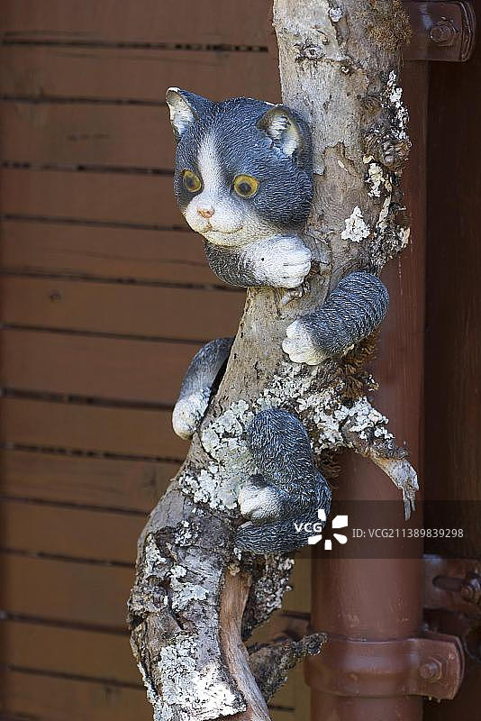 德国巴伐利亚花园树上的猫雕像图片素材
