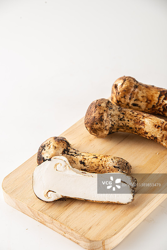 新鲜松茸菇图片素材