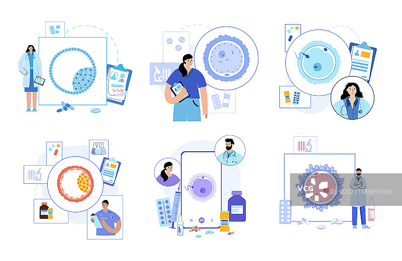 授精和受精图片素材