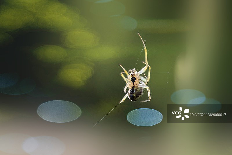 多彩的生活图片素材