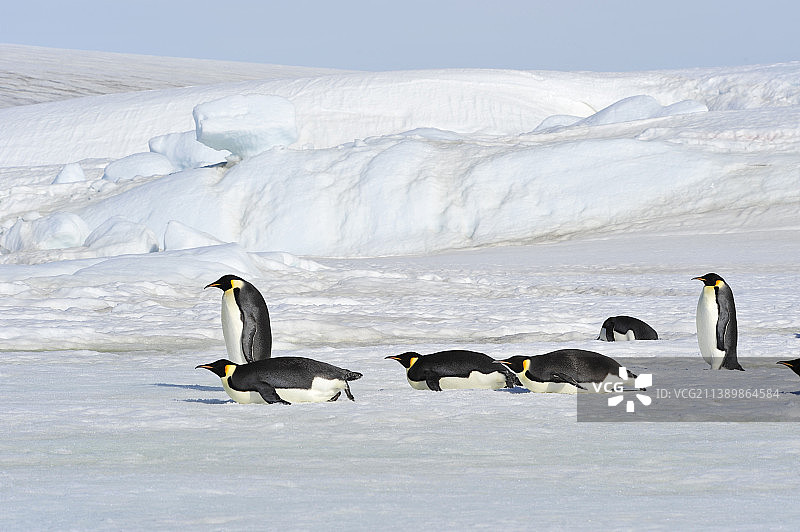 南极洲雪丘冰山美景图片素材
