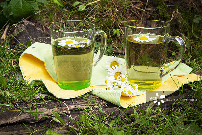 夏日花园里的一杯洋甘菊茶和洋甘菊图片素材