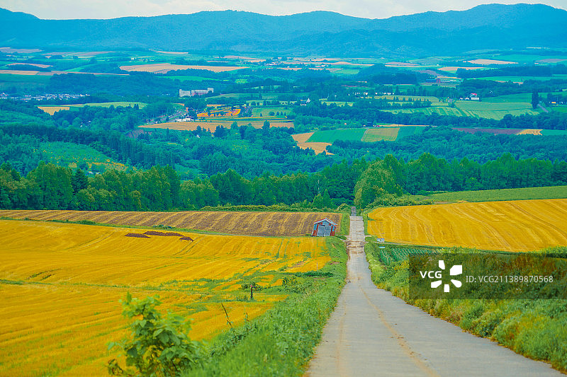 天空衬托下的农田风景图片素材