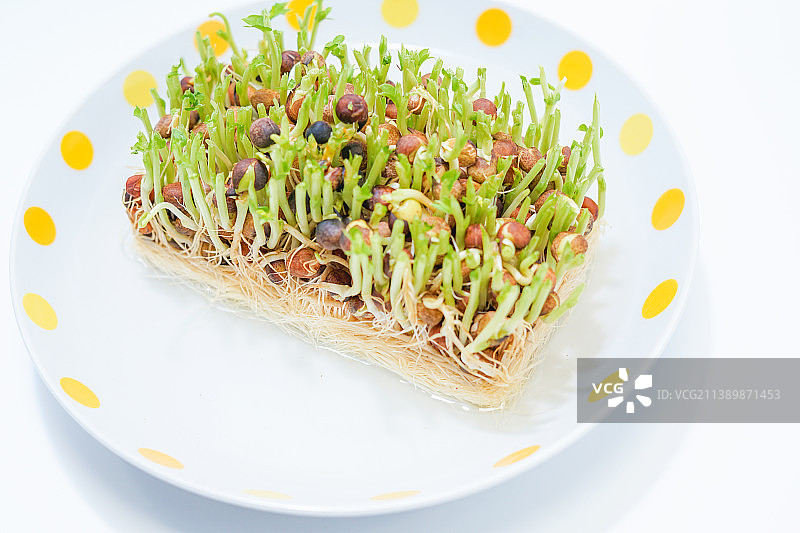 白色背景餐盘美食高角度视图图片素材