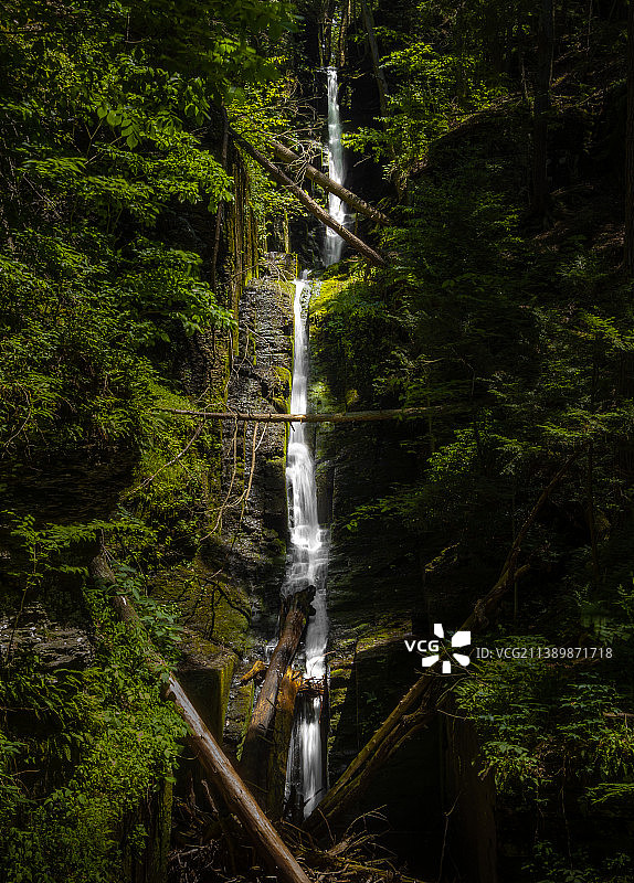 美国银线瀑布森林风光图片素材