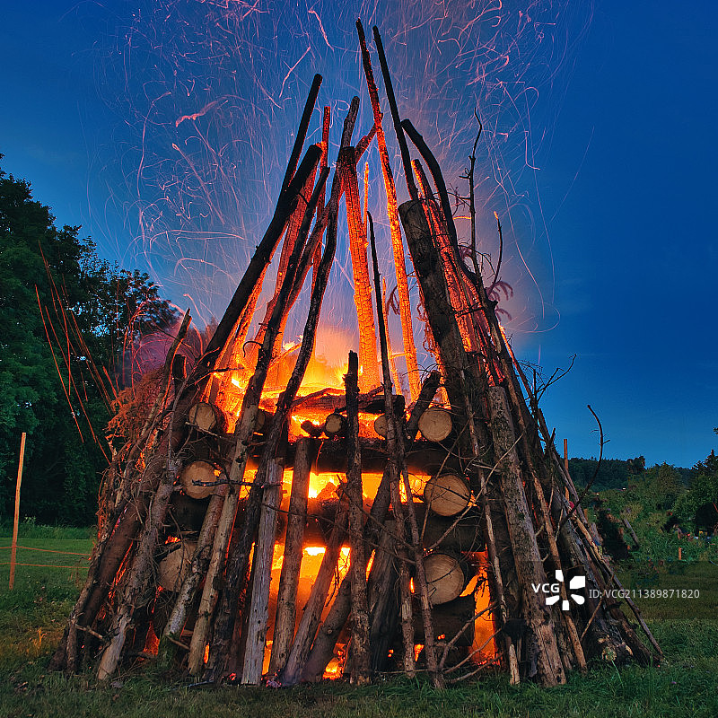 德国弗罗伊登塔尔：夜晚田野上的树木图片素材