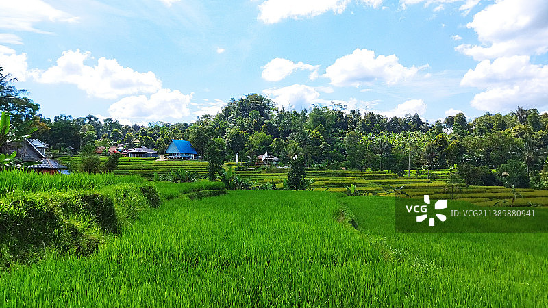 天空衬托下的农田风景图片素材