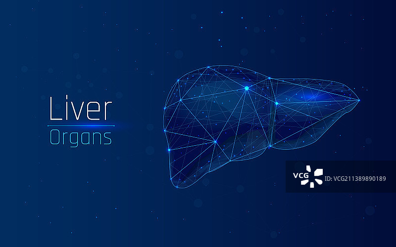 抽象网格线条点状人体健康肝脏图片素材