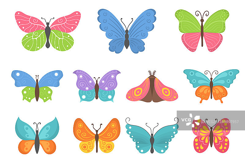 彩色飞行昆虫夏季蝴蝶扁平化套装图片素材