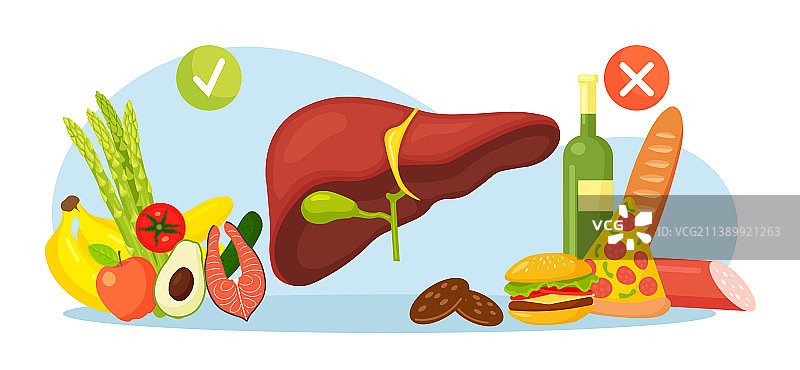 有益和有害肝脏的食物图片素材