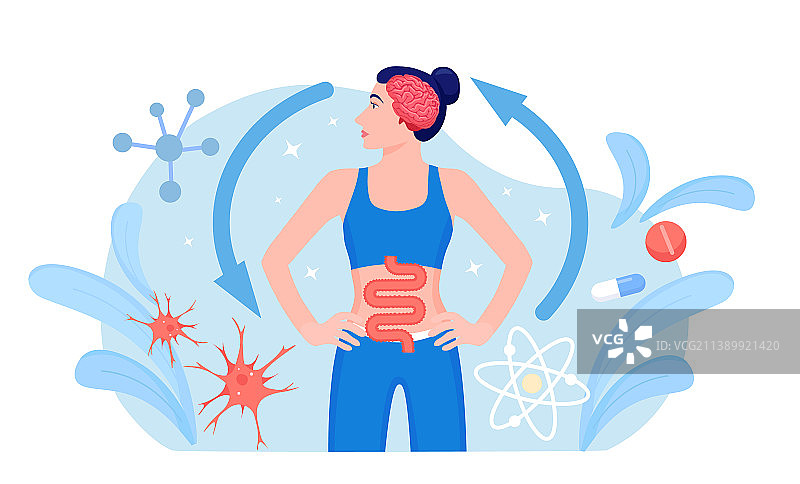 肠脑连接互动合作示意图图片素材