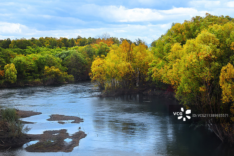大兴安岭森林秋天秋色风景壁纸图片素材