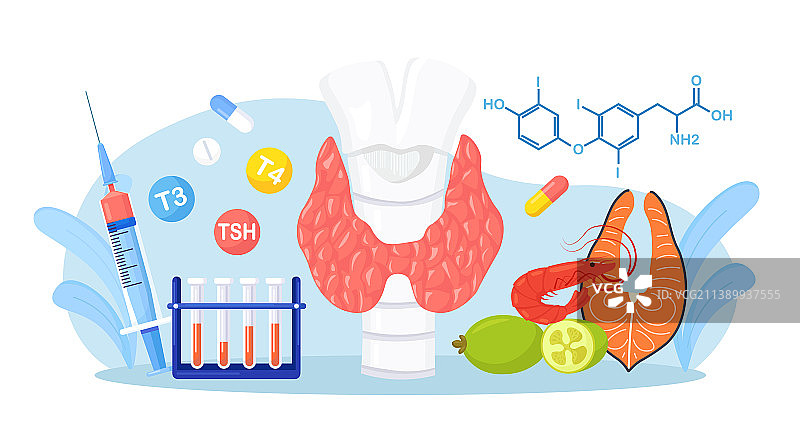 甲状腺功能减退与甲状腺功能亢进概念图片素材