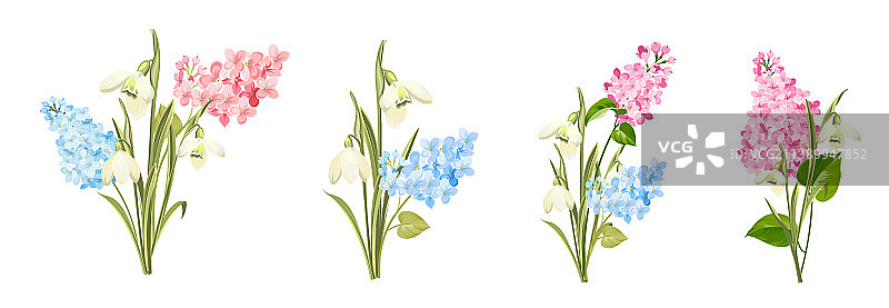 白色背景上的不同丁香花合集图片素材