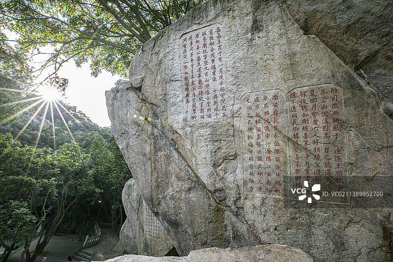九日山榕树下石刻图片素材