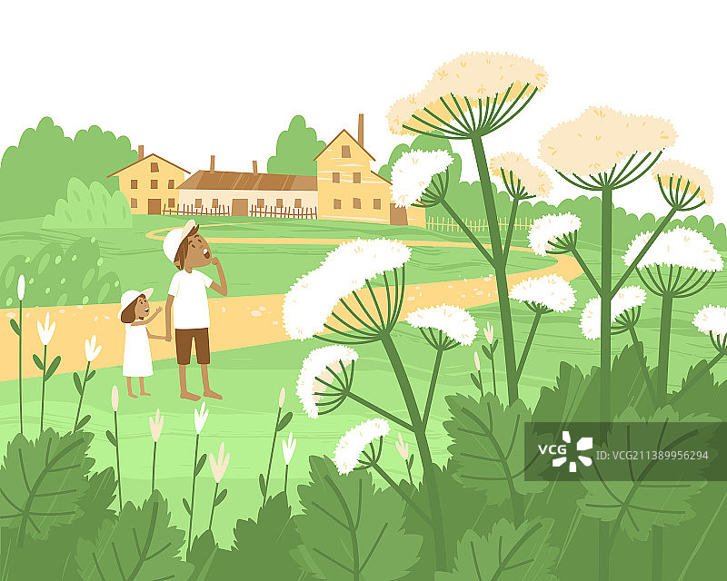 孩子们正在观察危险的毒芹图片素材