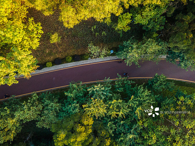 广东省深圳市龙岗区八仙岭公园绿道航拍图片素材