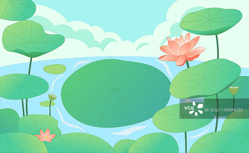 夏日户外池塘荷花盛开图片素材