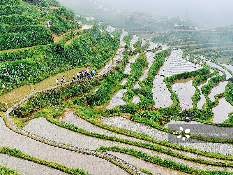 云和梯田图片素材