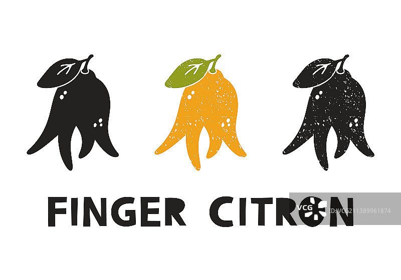 手指香橼轮廓图标集图片素材