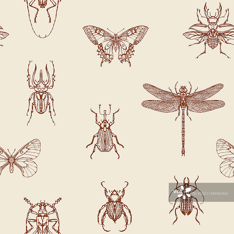 手绘昆虫无缝图案图片素材