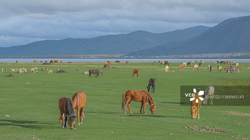 纳帕海图片素材
