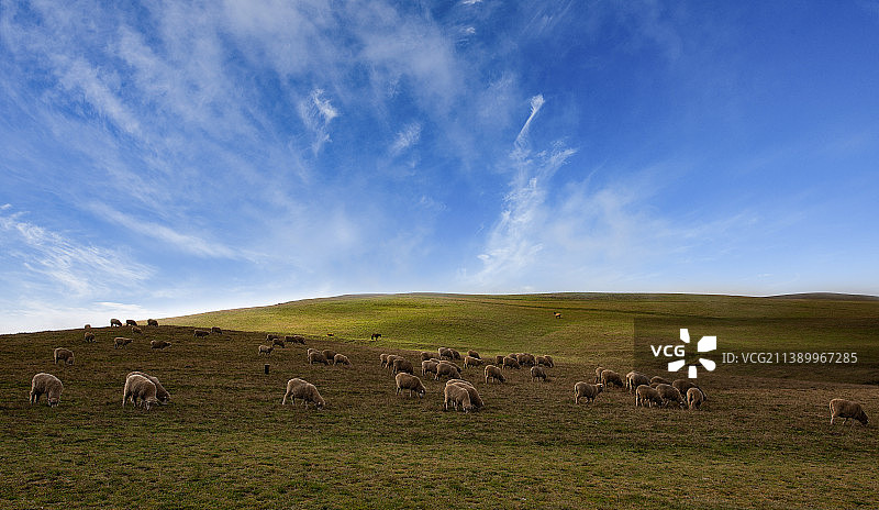 昭通大山包图片素材