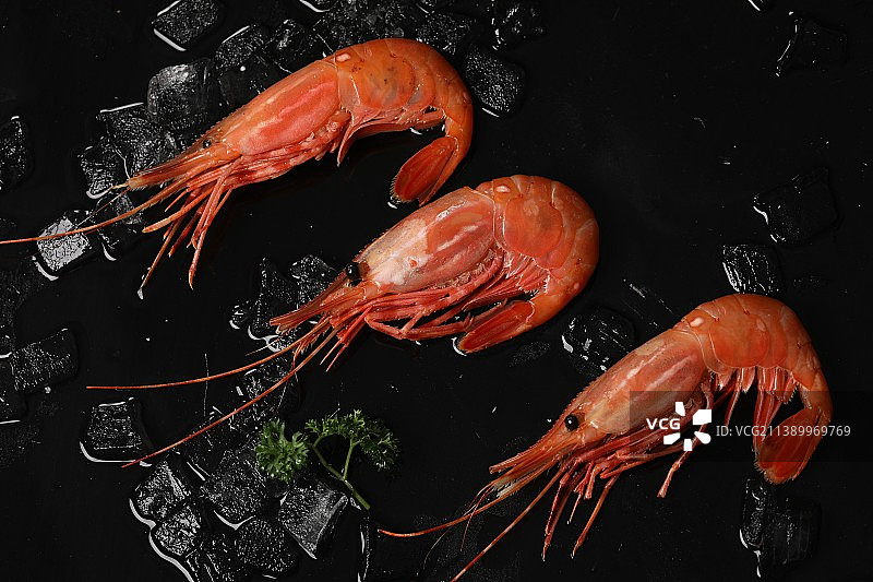 虾图片拍摄忘记叫什么虾了图片素材