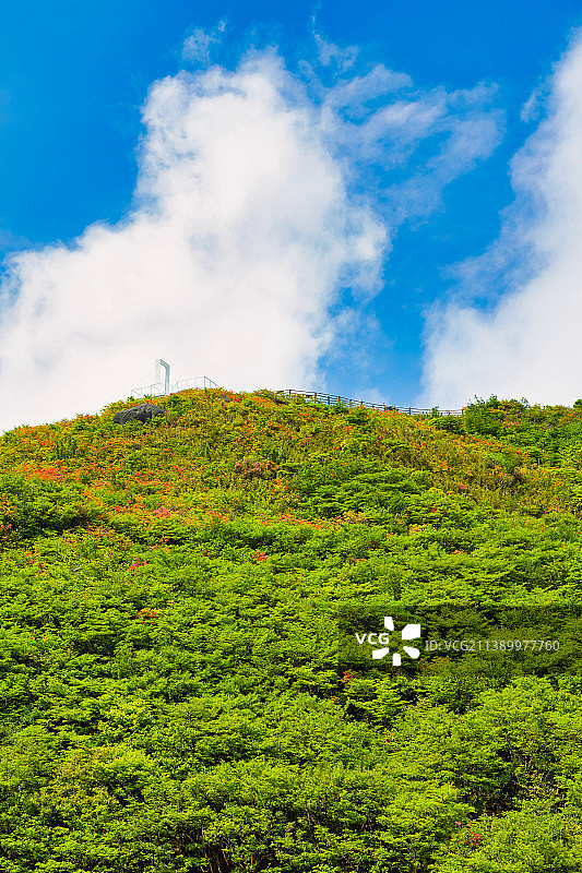 湘东绿色明珠大围山图片素材