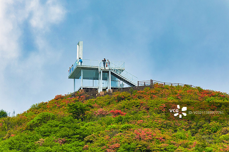 湘东绿色明珠大围山图片素材