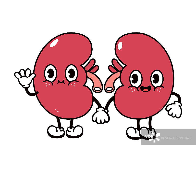 可爱有趣的肾脏挥手角色图片素材