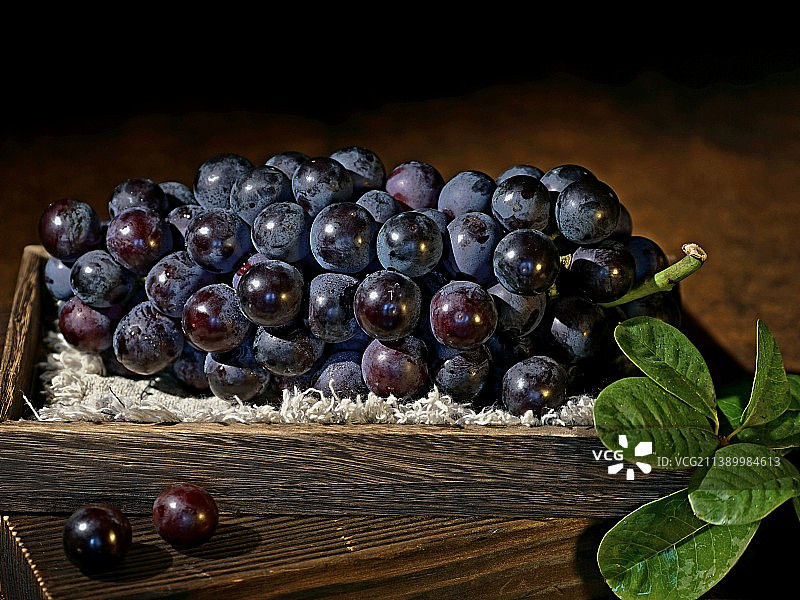 静物.葡萄图片素材