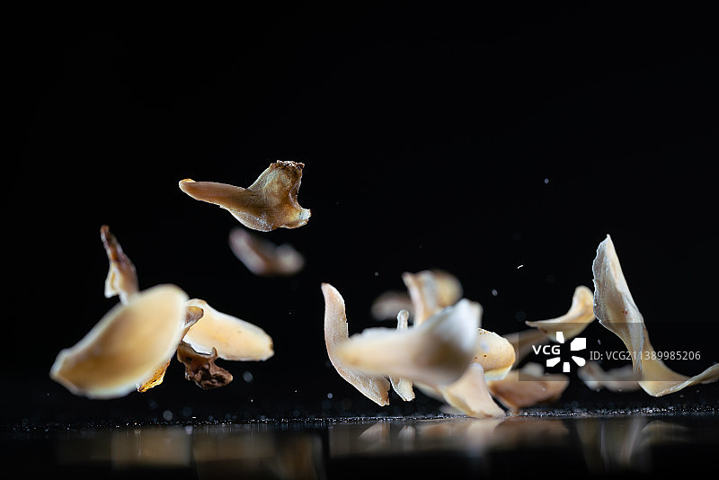 黑色背景下的跳动的干货百合干创意广告素材图片素材