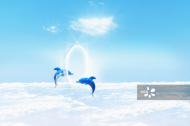 海洋上自由嬉戏的生物图片素材