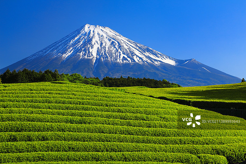 富士山美景图片素材