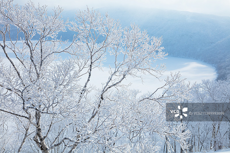 雾凇树木图片素材