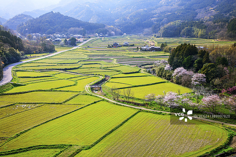 日本大分县图片素材