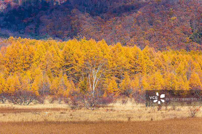 口木县,日本图片素材
