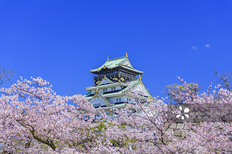 大阪城与樱花，日本图片素材