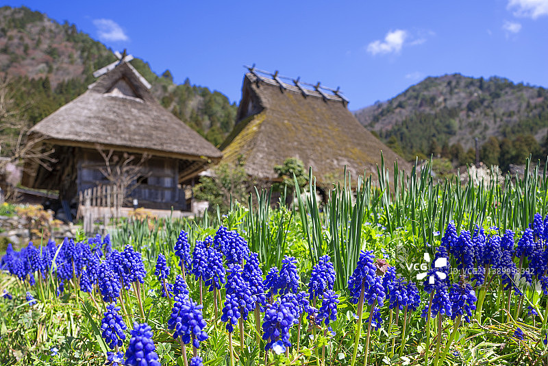 日本富山县图片素材