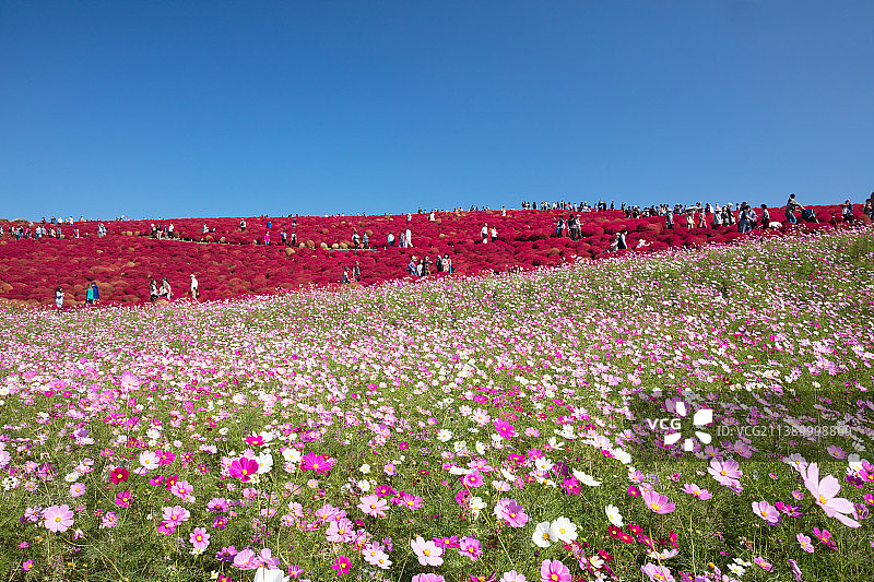 日本茨城县图片素材