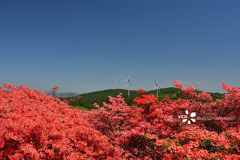 日本宫城县图片素材